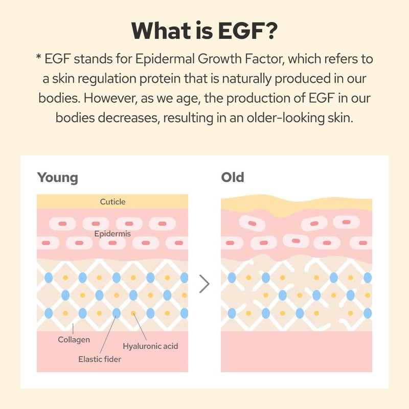 DE:MAF EGF Peptide Ampoule, Epidermal Growth Factors, Peptide, Collagen, Hyaluronic Acid, and Evening Primrose Extract for Skin Elasticity and Skin Cell Renewal, Korean Skincare (1.86 fl oz) - Image 3
